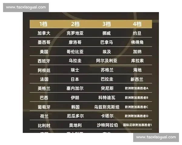 尘埃落定!最新世界杯大名单揭晓,实力与状态的终极较量!